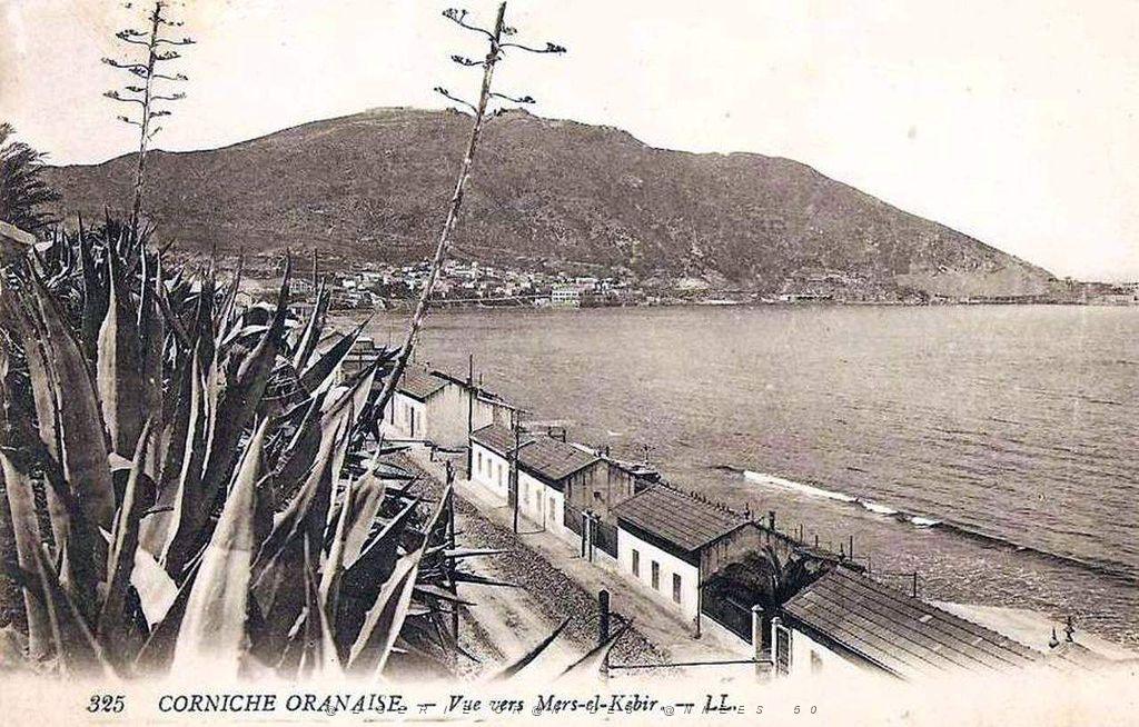 CO d- 054- Roseville a St Andre-.jpg